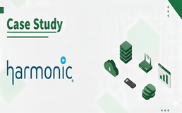 Harmonics Inc Case Study