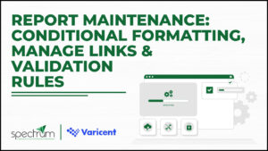Report Maintenance: Conditional Formatting, Manage Links & Validation Rules